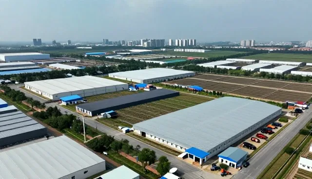 信息查询平台在多个行业中常见问题与应对策略